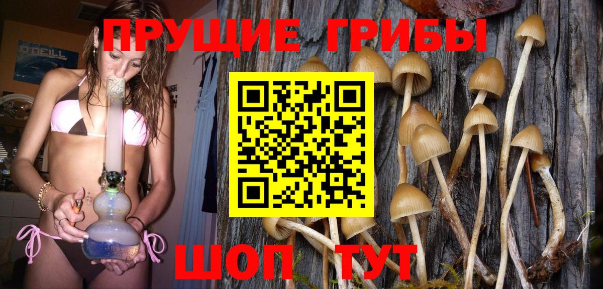 Псилоцибиновые грибы мухоморы Бирск