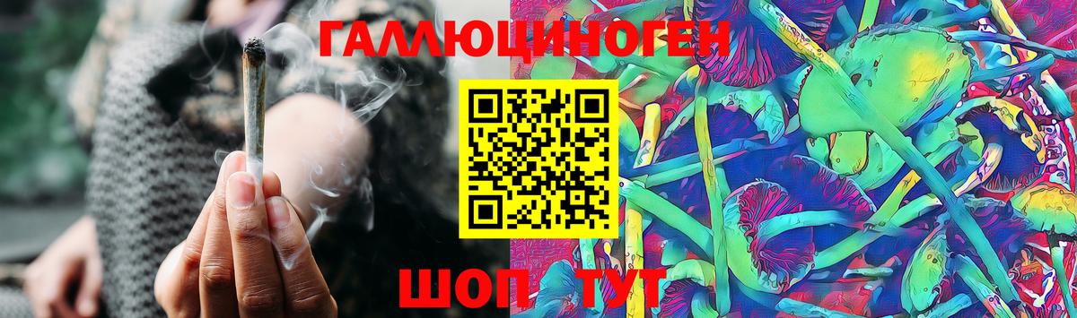 Псилоцибиновые грибы Psilocybe  Вход с VPN  Бирск 